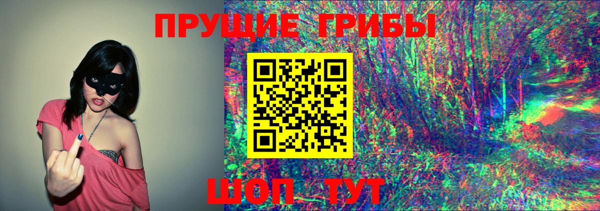 Галлюциногенные грибы Cubensis  Вход с VPN  Чехов 
